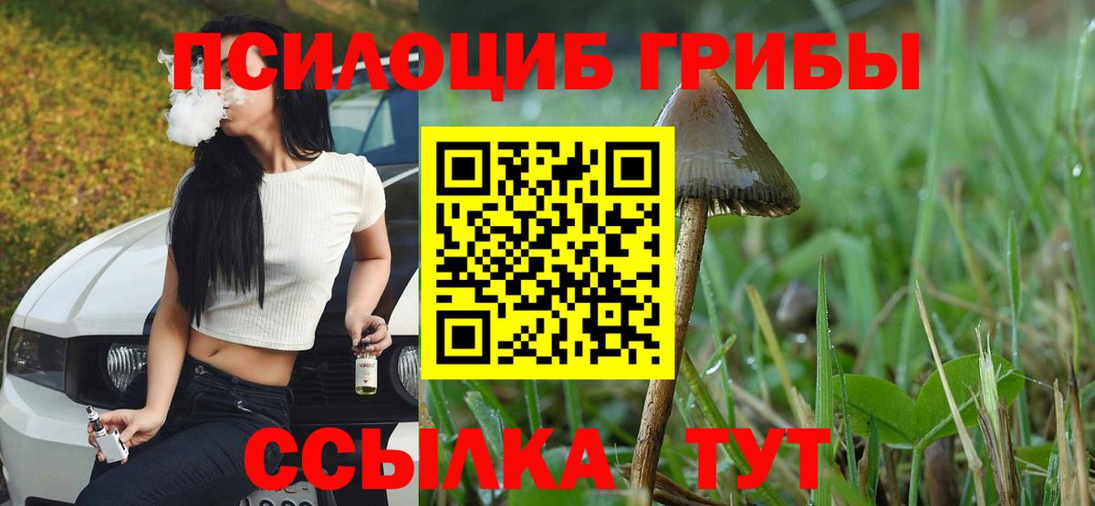 Галлюциногенные грибы Cubensis Нарткала